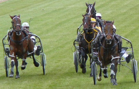Atom Of Courage (Scott Stewart) are clear of Datmymulligan and Babes Boy Boy at the finish of their Motukarara workout. babes boy bob 010